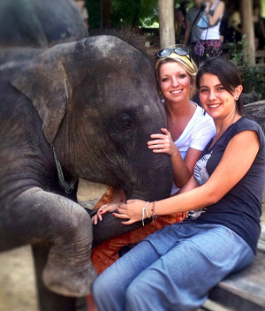 Soluções de Voluntariado Tailândia Projeto Elefante